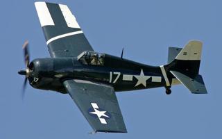 F4F-F 野猫